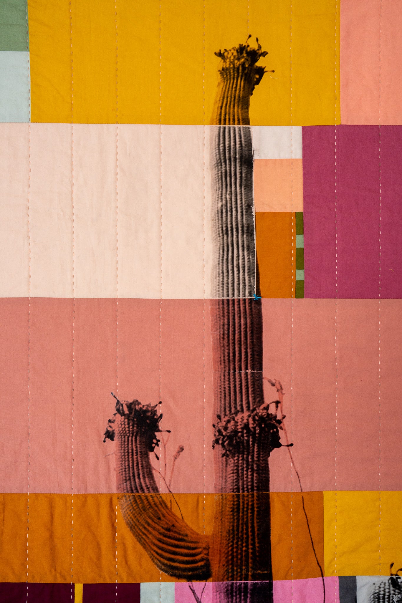 Saguaro on Quilt